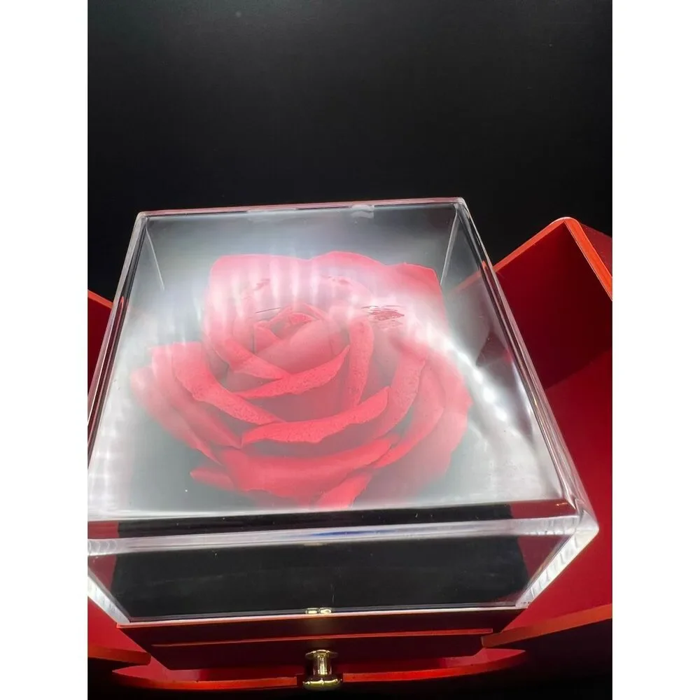 Red Apple Faux Rose Large Gift Box Gold Tone Cubic Zirconia Love Knot Necklace